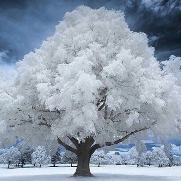 💙Natural Turquoise Necklace💙 - Picture 6 of 6